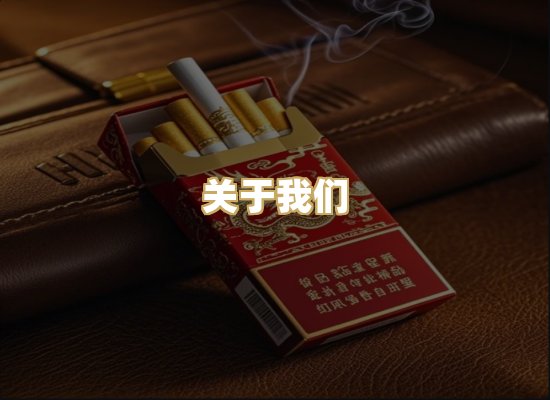 关于我们